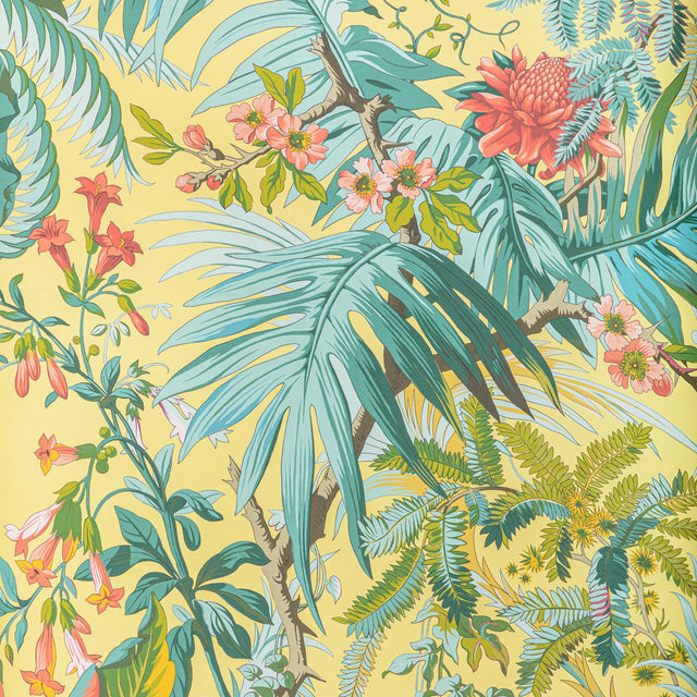 Brunschwig & Fils MAJORELLE SUN Wallpaper