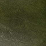 Kravet RAMBLER VERDE Upholstery Fabric