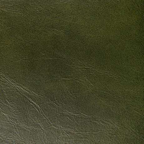 Kravet RAMBLER VERDE Upholstery Fabric