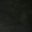 Kravet RAMBLER FOREST Upholstery Fabric