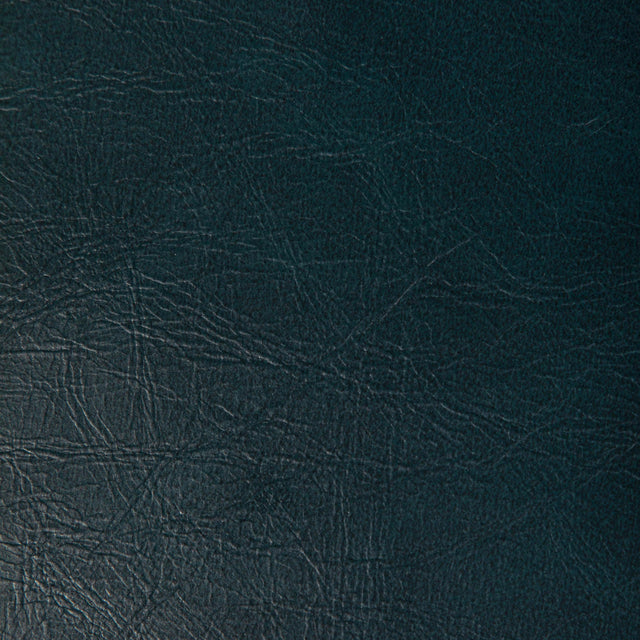 Kravet RAMBLER ODYSSEY Upholstery Fabric