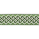 Brunschwig & Fils AUDETTE TAPE LEAF Trim