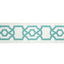Brunschwig & Fils CERISE TAPE AQUA Trim