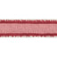 Brunschwig & Fils BROMO TAPE RED Trim
