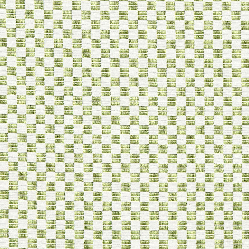 Schumacher Elkhart Leaf Fabric