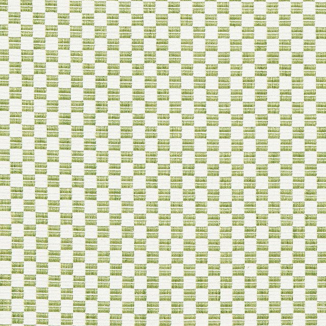 Schumacher Elkhart Leaf Fabric