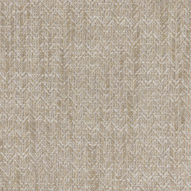 Stout HEWLETT BIRCH Fabric