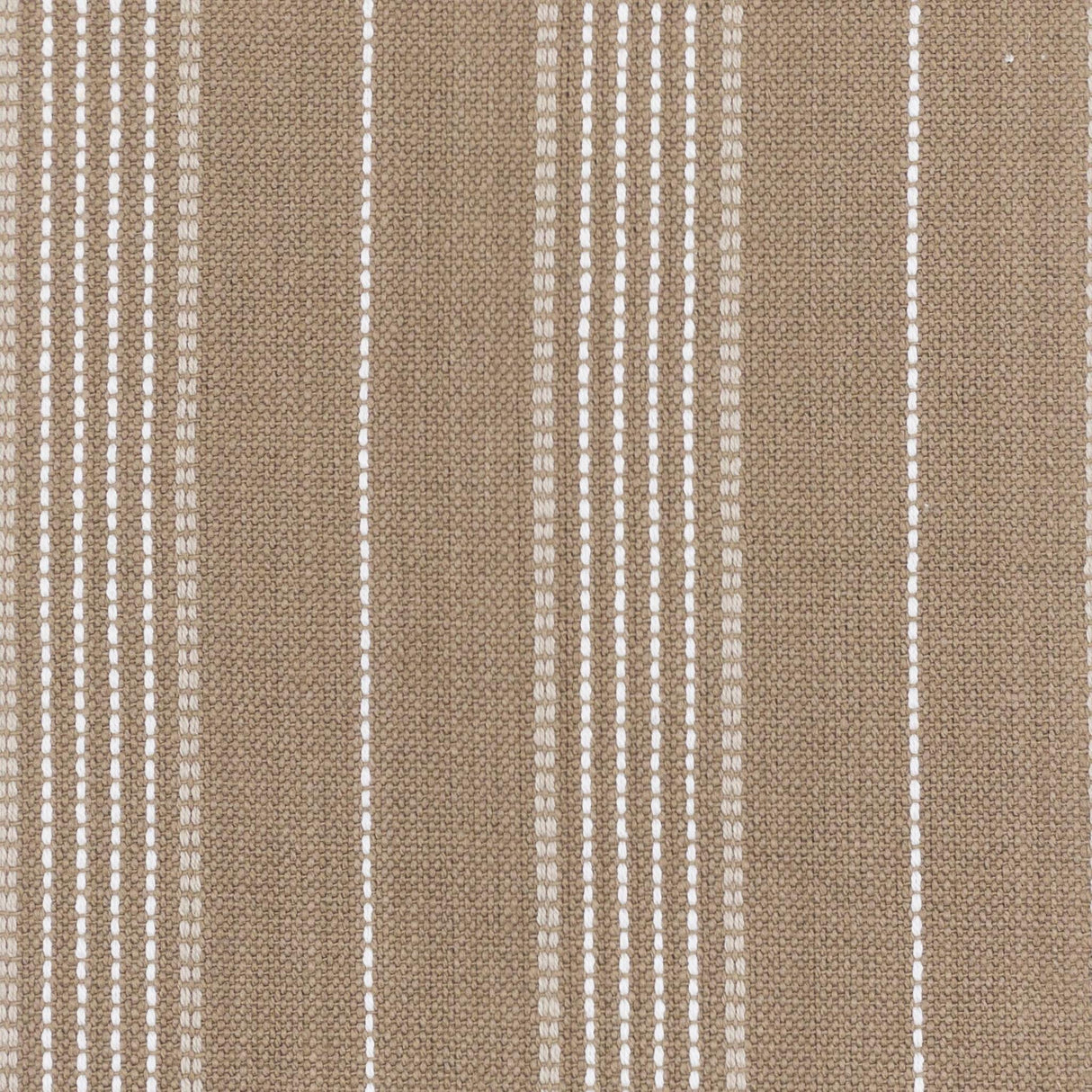Stout MEETING TWIG Fabric