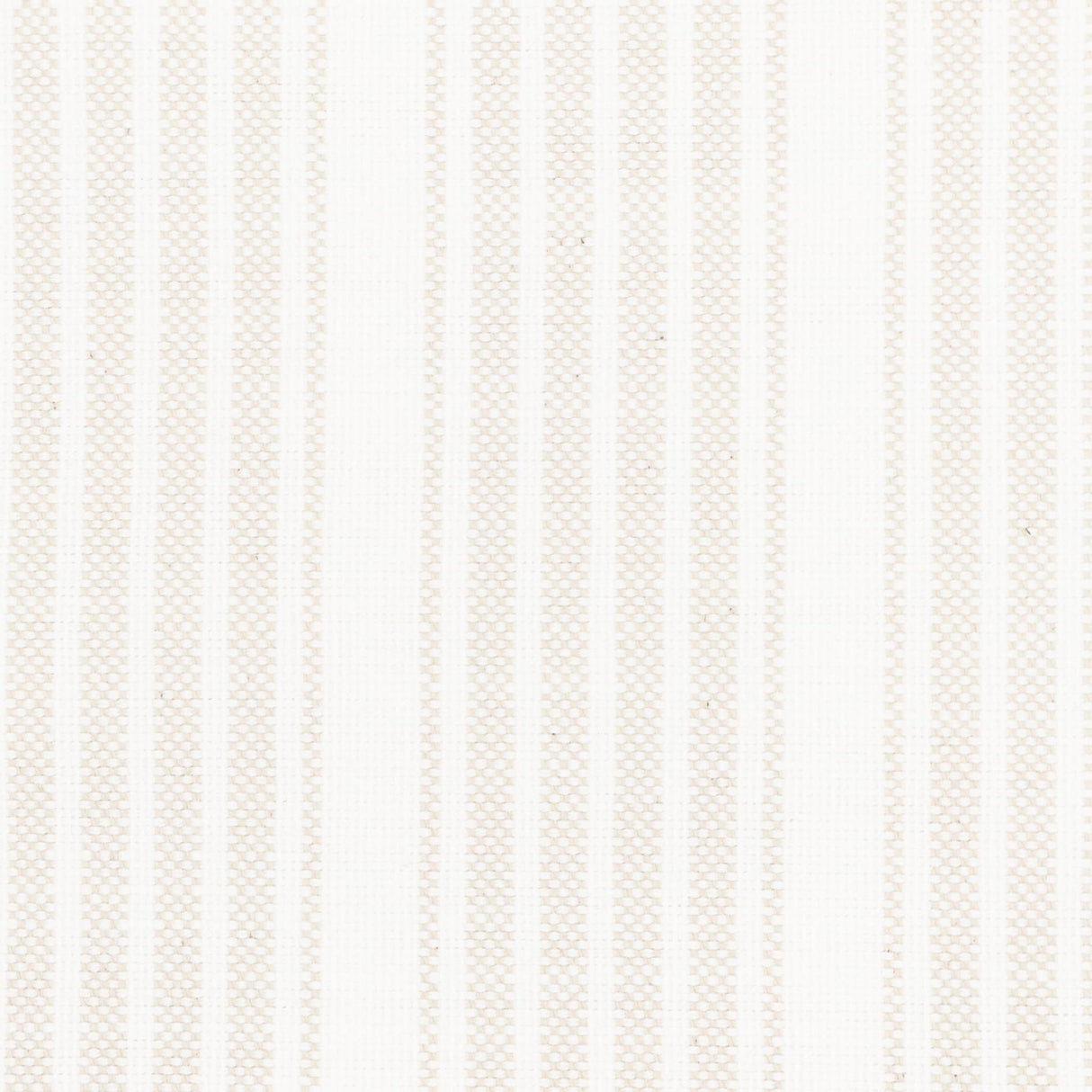 Stout LUCAYO FAWN Fabric