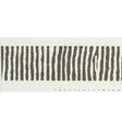Stout HALIFAX JAVA Trim