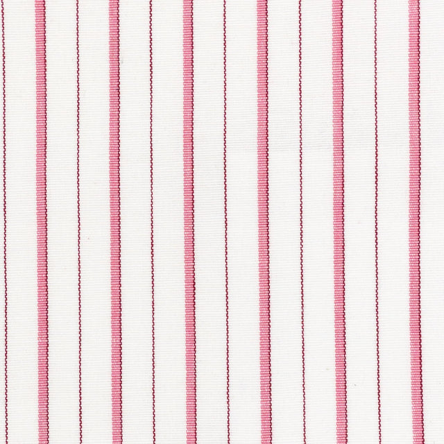 Stout COMANCHE PUNCH Fabric