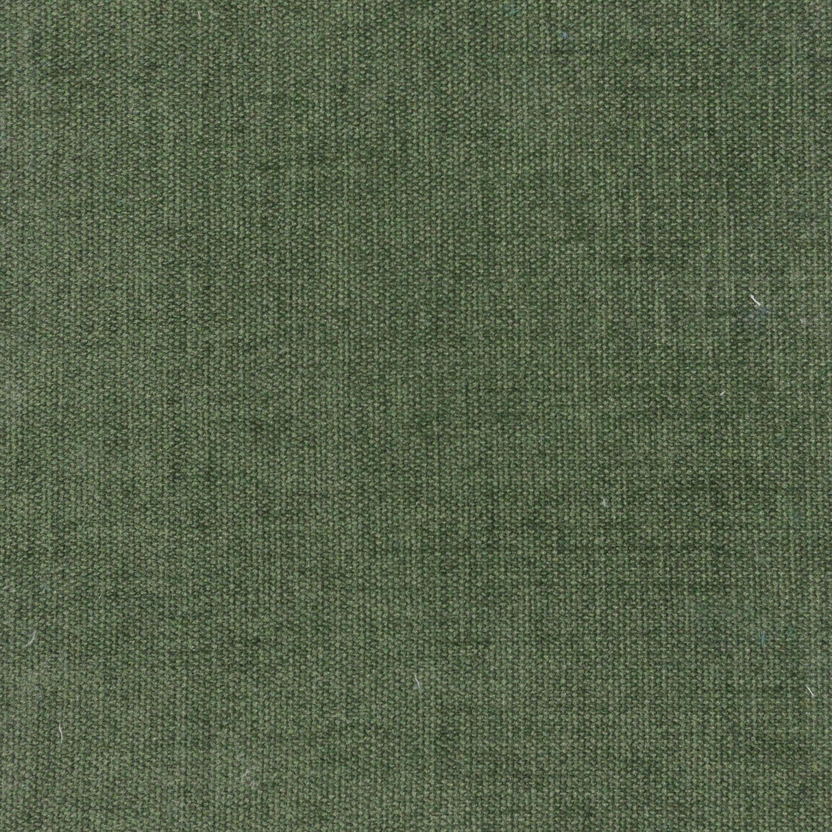 Stout GAITHERSBURG EVERGREEN Fabric