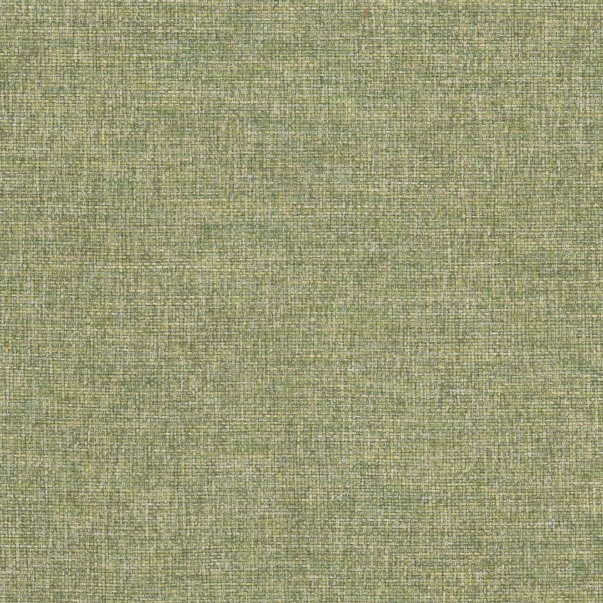 Stout IMPERIAL SPRING Fabric