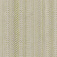 Stout PAINE SEEDLING Fabric