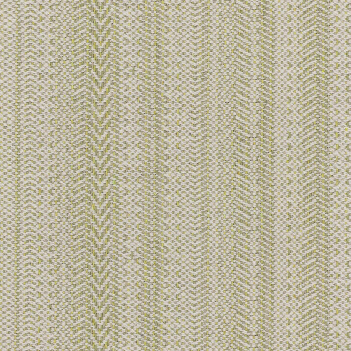 Stout PAINE SEEDLING Fabric