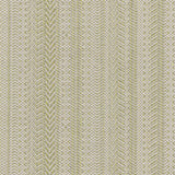 Stout PAINE SEEDLING Fabric