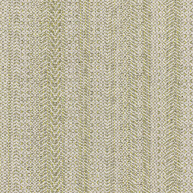 Stout PAINE SEEDLING Fabric