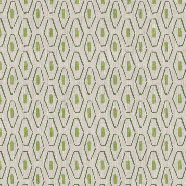 Stout KLAVON SPRING Fabric