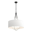 Hubbardton Forge 2019 Black Vintage Platinum Natural Anna Shade (SF) Loop Pendant