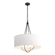 Hubbardton Forge 2019 Black Soft Gold Natural Anna Shade (SF) Loop Pendant
