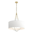 Hubbardton Forge 2019 Modern Brass Vintage Platinum Natural Anna Shade (SF) Loop Pendant