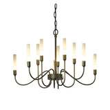 Hubbardton Forge 2014 Dark Smoke Lisse 10 Arm Chandelier