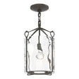 Hubbardton Forge 2020 Dark Smoke Water Glass (LL) Bow Semi-Flush