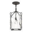 Hubbardton Forge 2020 Natural Iron Water Glass (LL) Bow Semi-Flush