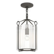 Hubbardton Forge 2020 Natural Iron Clear Glass (ZM) Bow Semi-Flush