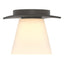 Hubbardton Forge 2010 Dark Smoke Opal Glass (GG) Wren Flush Mount