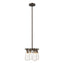 Hubbardton Forge 2022 Bronze Clear Glass (ZM) Multi Eos Semi-Flush/Pendant