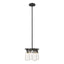 Hubbardton Forge 2022 Black Clear Glass (ZM) Multi Eos Semi-Flush/Pendant
