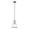 Hubbardton Forge 2022 Oil Rubbed Bronze Clear Glass (ZM) Multi Caliper Pendant
