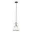 Hubbardton Forge 2022 Oil Rubbed Bronze Clear Glass (ZM) Multi Caliper Pendant