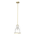 Hubbardton Forge 2022 Modern Brass Clear Glass (ZM) Multi Caliper Pendant