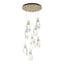 Hubbardton Forge 2022 Soft Gold Crystal Standard Luma 9-Light Large Crystal Pendant