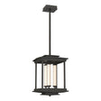 Hubbardton Forge 2023 Dark Smoke Clear Glass (ZM) Multi Athena 3-Light LED Lantern