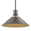 Hubbardton Forge 2022 Dark Smoke Dark Smoke Multi Henry Medium Steel Shade Pendant