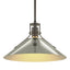 Hubbardton Forge 2022 Dark Smoke Sterling Multi Henry Medium Steel Shade Pendant