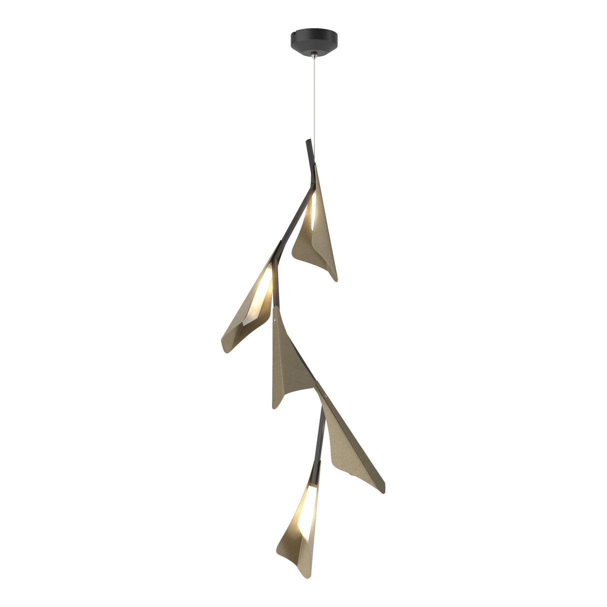 Hubbardton Forge 2020 Black Soft Gold Standard Plume 5-Light LED Pendant