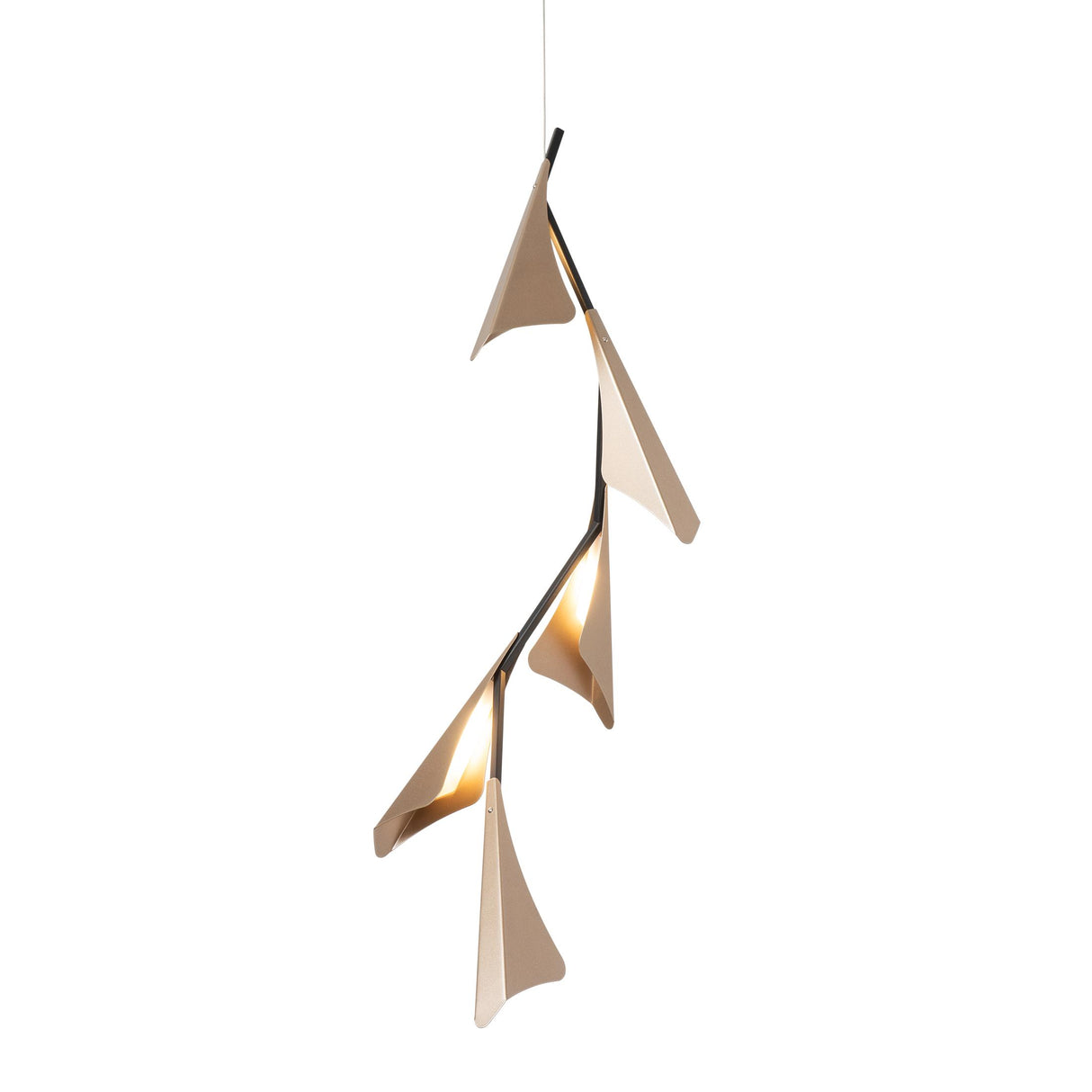 Hubbardton Forge 2020 Black Soft Gold Standard Plume 5-Light LED Pendant