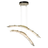 Hubbardton Forge 2023 Modern Brass Clear Glass (ZM) Standard Glissade Double Large LED Pendant
