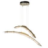 Hubbardton Forge 2023 Modern Brass Clear Glass (ZM) Standard Glissade Double Large LED Pendant