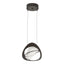 Hubbardton Forge 2018 Oil Rubbed Bronze Clear Glass (ZM) Standard Venn Pendant