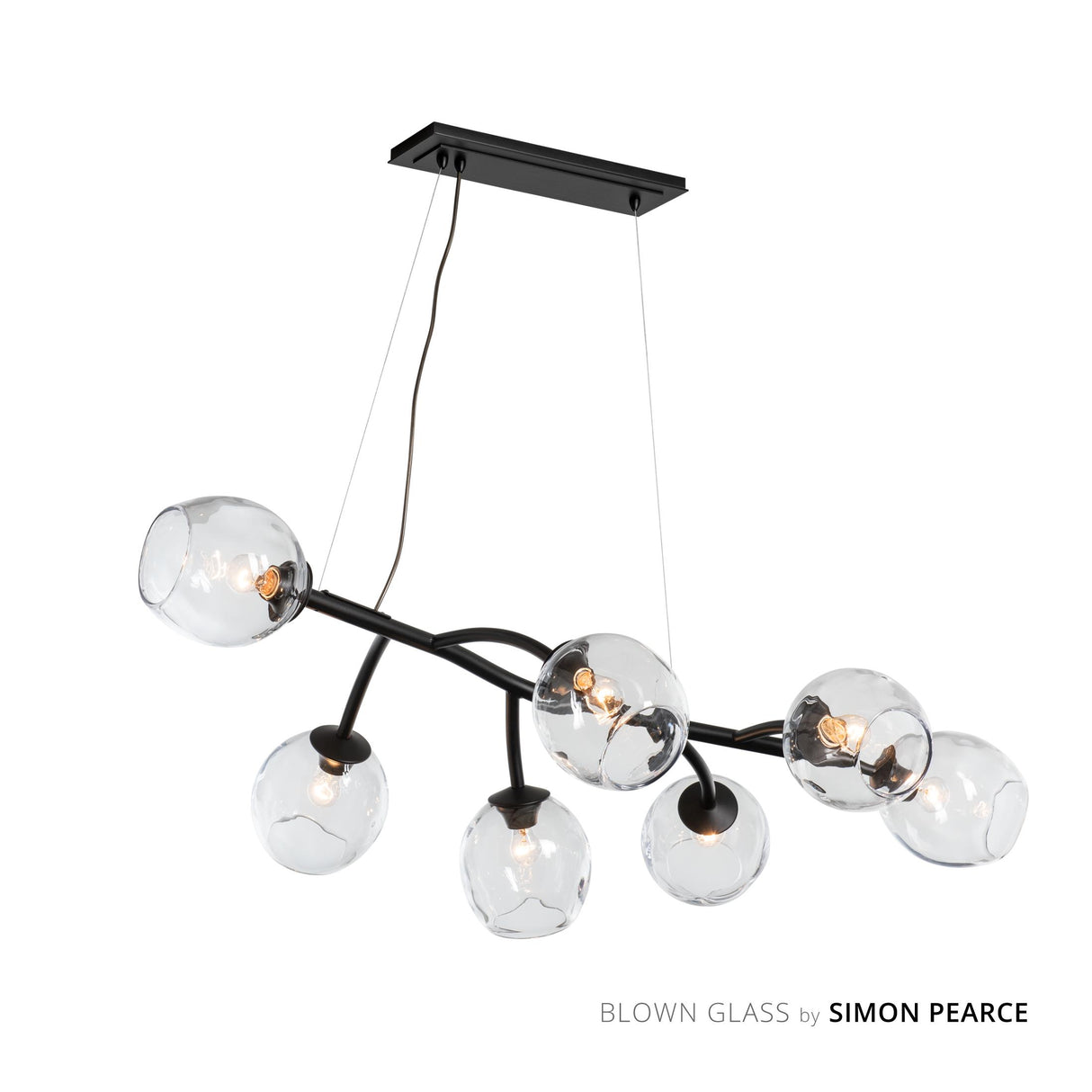 Hubbardton Forge 2021 Black Clear Glass (ZM) Standard Vine Pendant