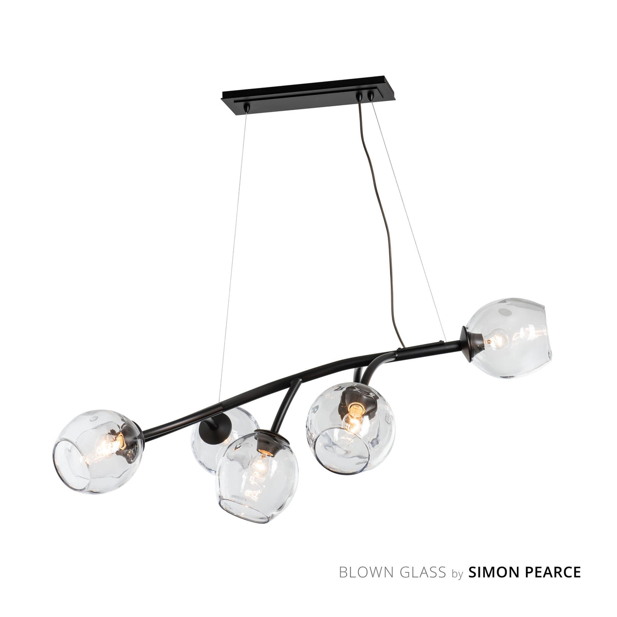 Hubbardton Forge 2021 Black Clear Glass (ZM) Standard Vine Pendant