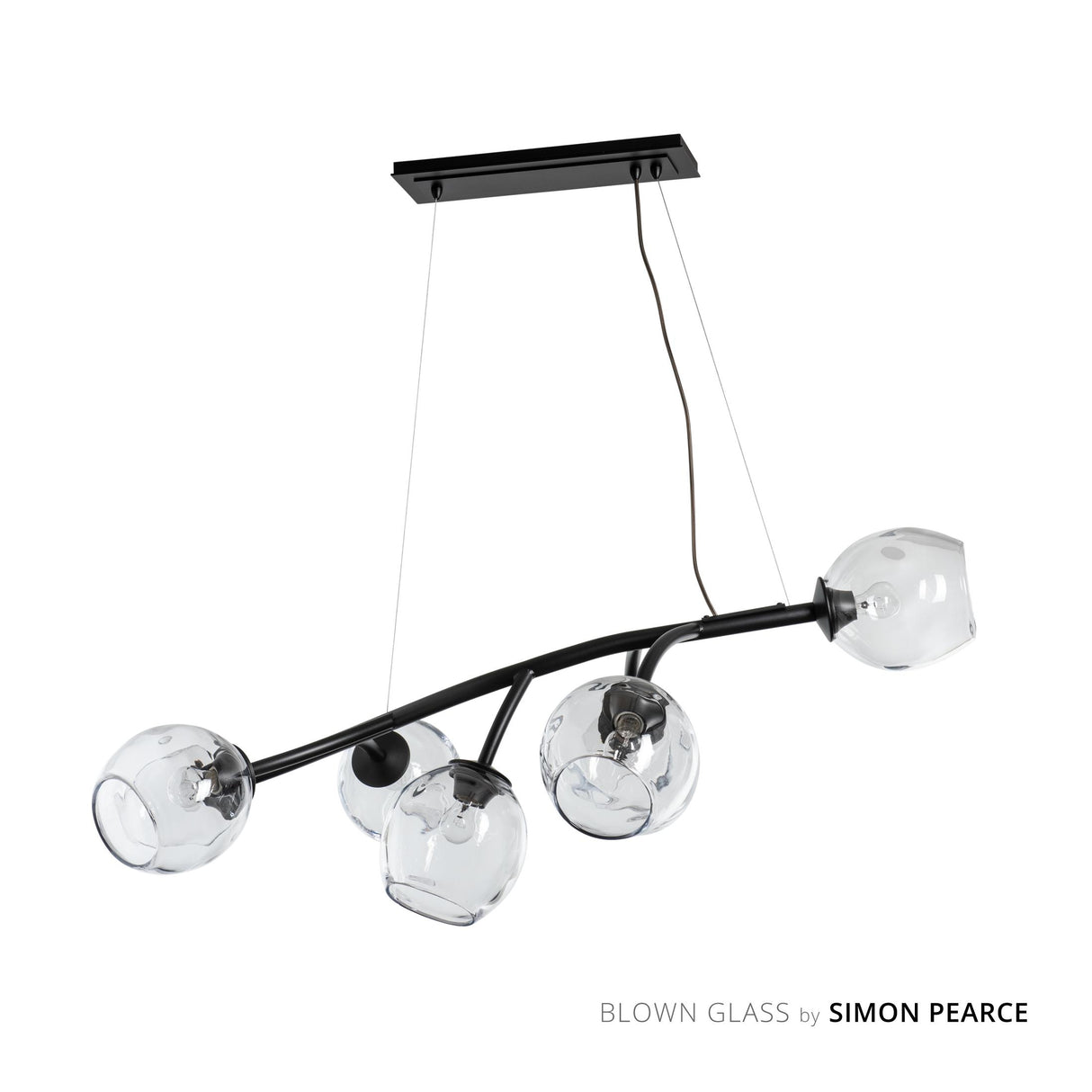 Hubbardton Forge 2021 Black Clear Glass (ZM) Standard Vine Pendant
