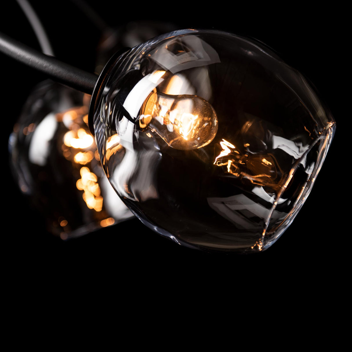 Hubbardton Forge 2021 Black Clear Glass (ZM) Standard Vine Pendant