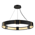 Hubbardton Forge 2011 Black Clear Glass (ZM) Standard Aura Pendant