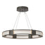 Hubbardton Forge 2022 Dark Smoke Frosted Glass (FD) Standard Aura Glass Pendant